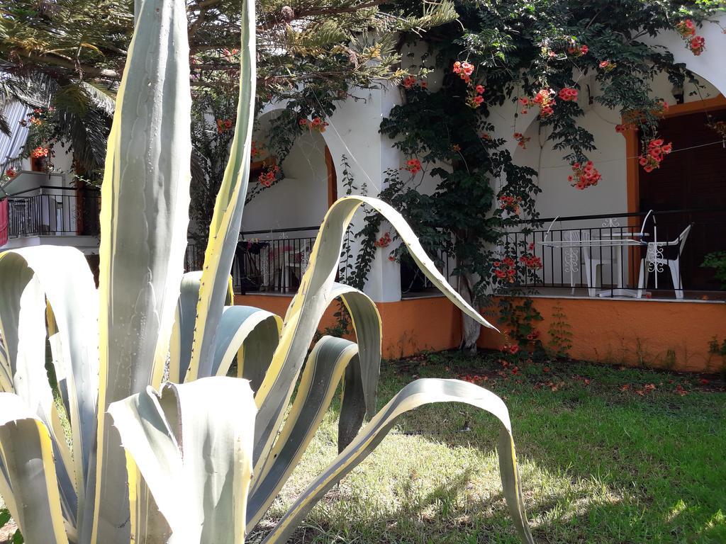 Studios Dimitris Púnda Kültér fotó